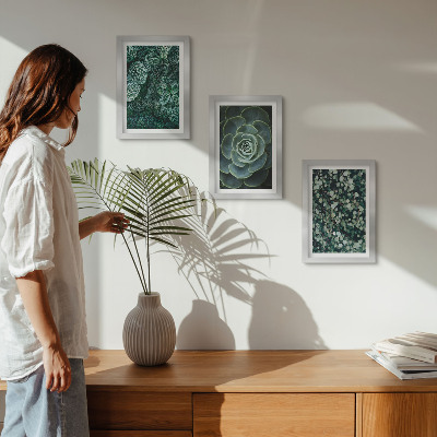 Ensemble de 3 tableaux Feuilles vertes de plantes succulentes et brindilles délicates
