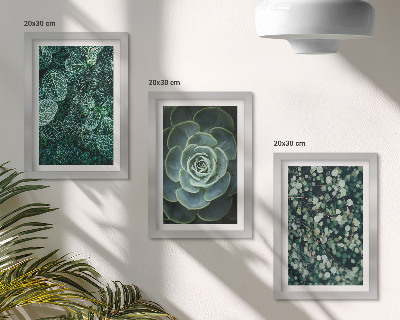 Ensemble de 3 tableaux Feuilles vertes de plantes succulentes et brindilles délicates
