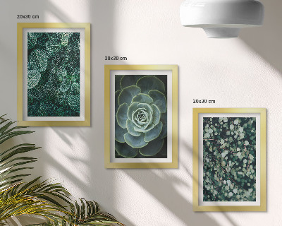 Ensemble de 3 tableaux Feuilles vertes de plantes succulentes et brindilles délicates