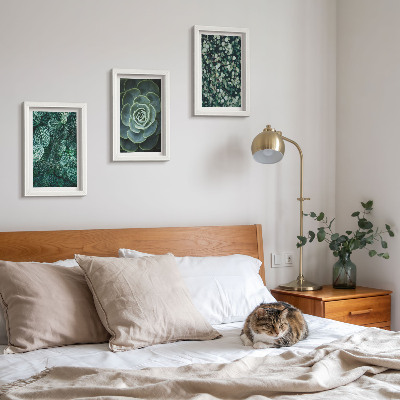 Ensemble de 3 tableaux Feuilles vertes de plantes succulentes et brindilles délicates