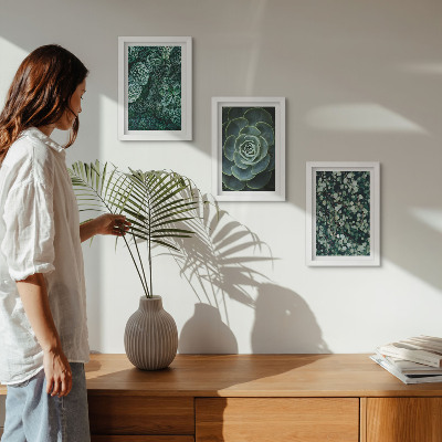 Ensemble de 3 tableaux Feuilles vertes de plantes succulentes et brindilles délicates