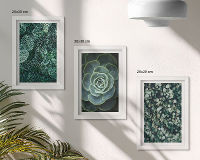 Ensemble de 3 tableaux Feuilles vertes de plantes succulentes et brindilles délicates