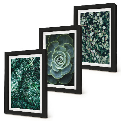 Ensemble de 3 tableaux Feuilles vertes de plantes succulentes et brindilles délicates