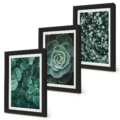 Ensemble de 3 tableaux représentant des feuilles vertes de plantes succulentes et des brindilles délicates