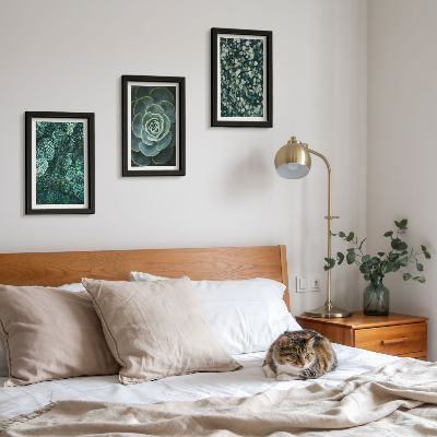 Ensemble de 3 tableaux Feuilles vertes de plantes succulentes et brindilles délicates