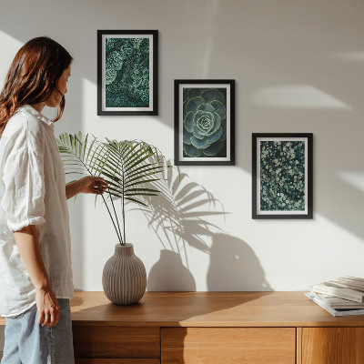 Ensemble de 3 tableaux Feuilles vertes de plantes succulentes et brindilles délicates