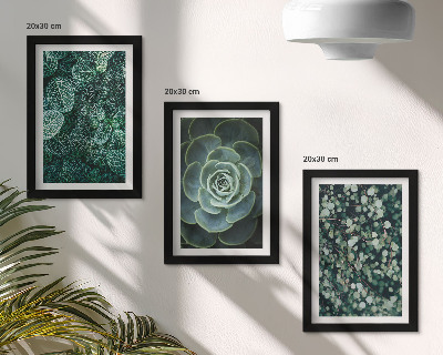 Ensemble de 3 tableaux Feuilles vertes de plantes succulentes et brindilles délicates