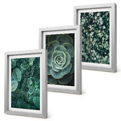 Ensemble de 3 tableaux Feuilles vertes de plantes succulentes et brindilles délicates