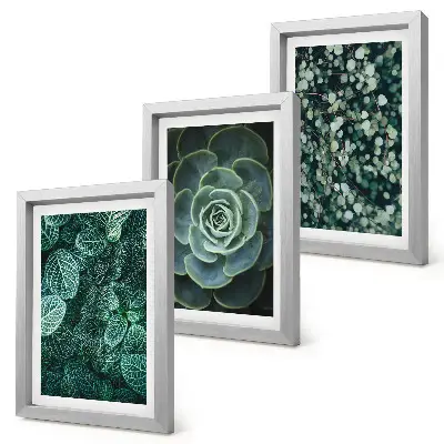 Ensemble de 3 tableaux représentant des feuilles vertes de plantes succulentes et des brindilles délicates