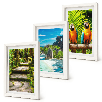 Ensemble de 3 tableaux Forêt tropicale avec une cascade et des perroquets colorés