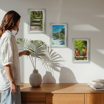Ensemble de 3 tableaux Forêt tropicale avec une cascade et des perroquets colorés