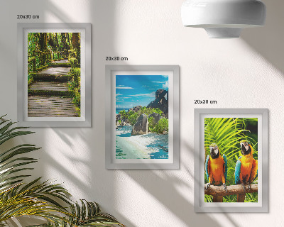 Ensemble de 3 tableaux Forêt tropicale avec une cascade et des perroquets colorés