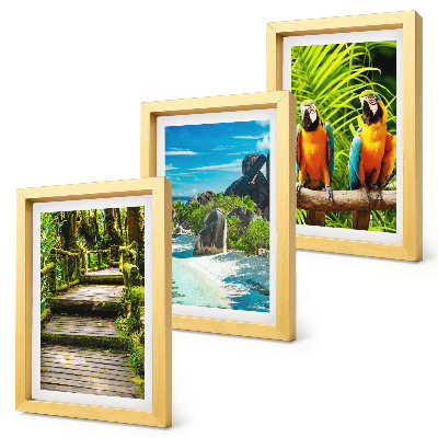 Ensemble de 3 tableaux Forêt tropicale avec une cascade et des perroquets colorés
