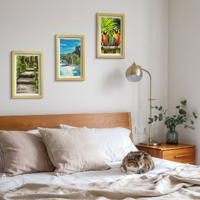 Ensemble de 3 tableaux Forêt tropicale avec une cascade et des perroquets colorés