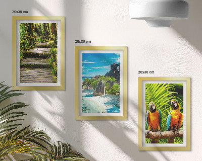 Ensemble de 3 tableaux Forêt tropicale avec une cascade et des perroquets colorés