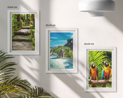 Ensemble de 3 tableaux Forêt tropicale avec une cascade et des perroquets colorés