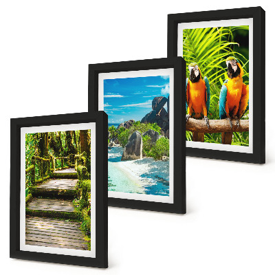 Ensemble de 3 tableaux Forêt tropicale avec une cascade et des perroquets colorés