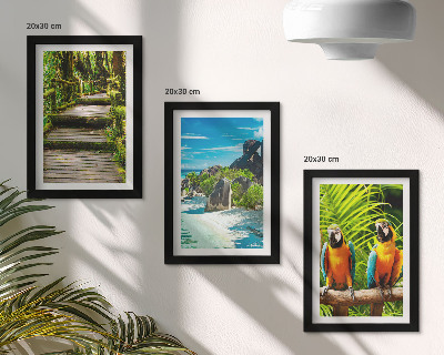 Ensemble de 3 tableaux Forêt tropicale avec une cascade et des perroquets colorés