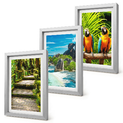 Ensemble de 3 tableaux Forêt tropicale avec une cascade et des perroquets colorés