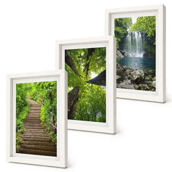 Lot de 3 tableaux représentant un sentier forestier avec cascade et végétation luxuriante