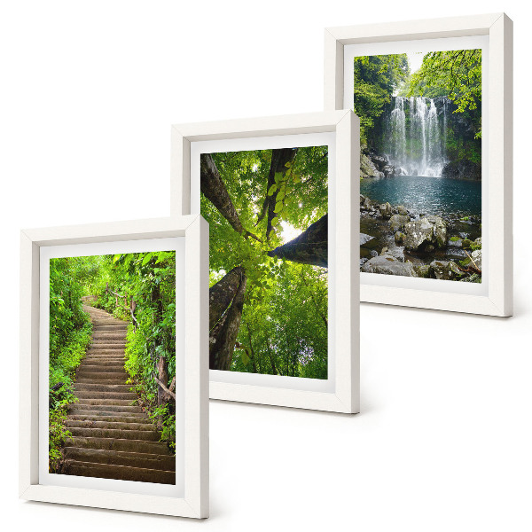 Lot de 3 tableaux Sentier forestier avec cascade et végétation luxuriante