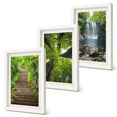 Lot de 3 tableaux représentant un sentier forestier avec cascade et végétation luxuriante