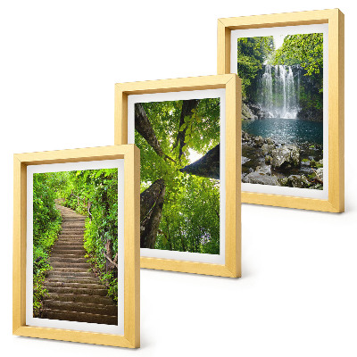 Lot de 3 tableaux Sentier forestier avec cascade et végétation luxuriante