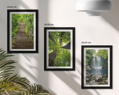 Lot de 3 tableaux Sentier forestier avec cascade et végétation luxuriante