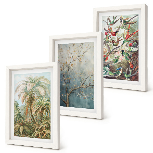 Ensemble de 3 tableaux Plantes tropicales et oiseaux colorés dans la nature
