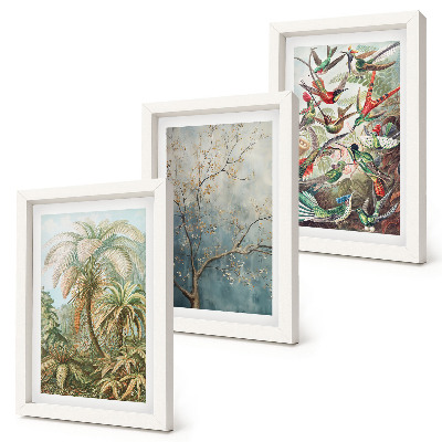 Ensemble de 3 tableaux Plantes tropicales et oiseaux colorés dans la nature