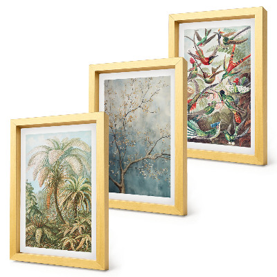 Ensemble de 3 tableaux Plantes tropicales et oiseaux colorés dans la nature