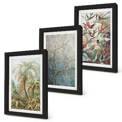 Ensemble de 3 tableaux Plantes tropicales et oiseaux colorés dans la nature