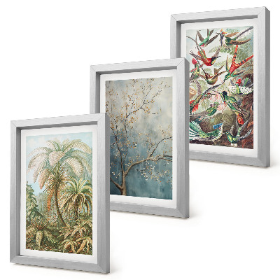Ensemble de 3 tableaux Plantes tropicales et oiseaux colorés dans la nature