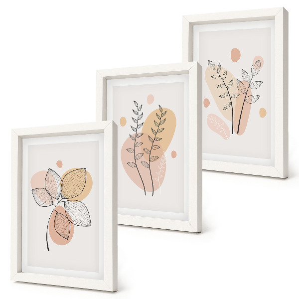 Lot de 3 tableaux Dessins minimalistes de plantes aux couleurs pastel