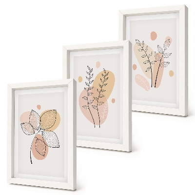 Lot de 3 tableaux Dessins minimalistes de plantes aux couleurs pastel