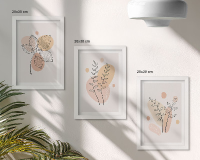 Lot de 3 tableaux Dessins minimalistes de plantes aux couleurs pastel