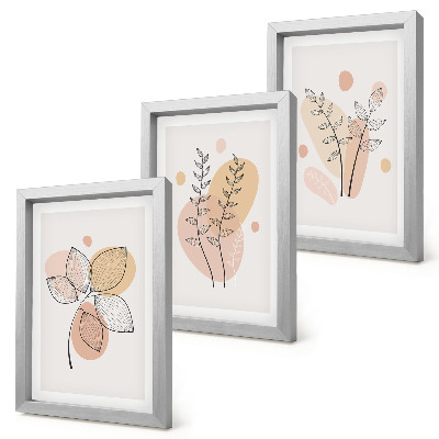 Lot de 3 tableaux Dessins minimalistes de plantes aux couleurs pastel