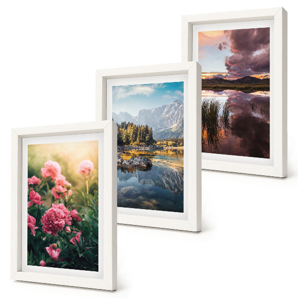 Ensemble de 3 tableaux Des fleurs dans le jardin, des montagnes et la surface calme de l'eau