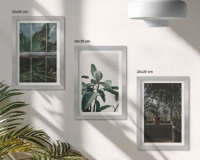Mur de cadres Des feuilles vertes sur la fenêtre et des plantes à l'intérieur