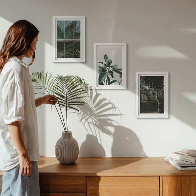 Mur de cadres Des feuilles vertes sur la fenêtre et des plantes à l'intérieur