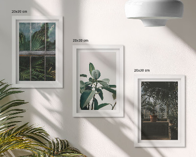 Mur de cadres Des feuilles vertes sur la fenêtre et des plantes à l'intérieur