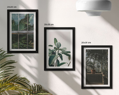 Mur de cadres Des feuilles vertes sur la fenêtre et des plantes à l'intérieur