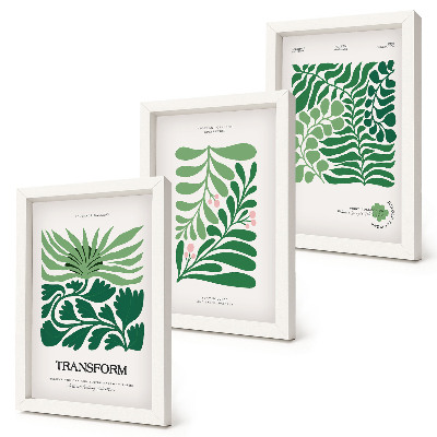 Lot de 3 tableaux Un ensemble de feuilles vertes et de plantes de formes variées