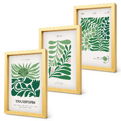 Lot de 3 tableaux Un ensemble de feuilles vertes et de plantes de formes variées