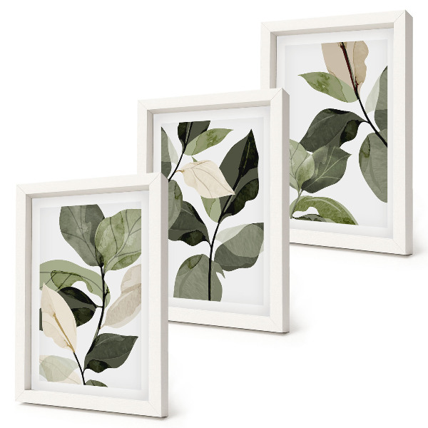 Mur de cadres Feuilles de plantes bohèmes délicates peintes