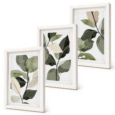 Mur de cadres Feuilles de plantes bohèmes délicates peintes