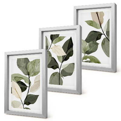 Mur de cadres Feuilles de plantes bohèmes délicates peintes