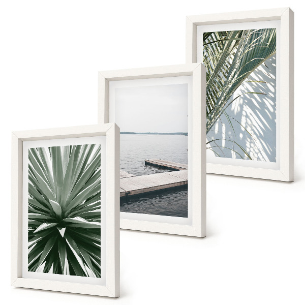 Ensemble de 3 tableaux Plante à feuilles de palmier et jetée en bois