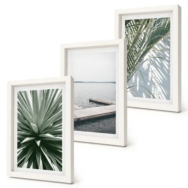 Ensemble de 3 tableaux représentant une plante à feuilles de palmier et une jetée en bois