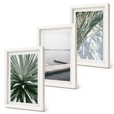 Ensemble de 3 tableaux Plante à feuilles de palmier et jetée en bois